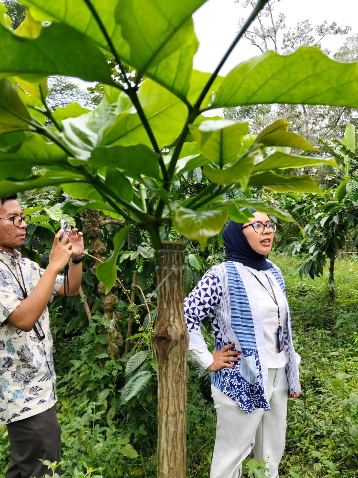 Kunjungan Kebun Bank Indonesia